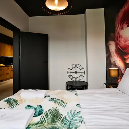 5 By Housine * Zator