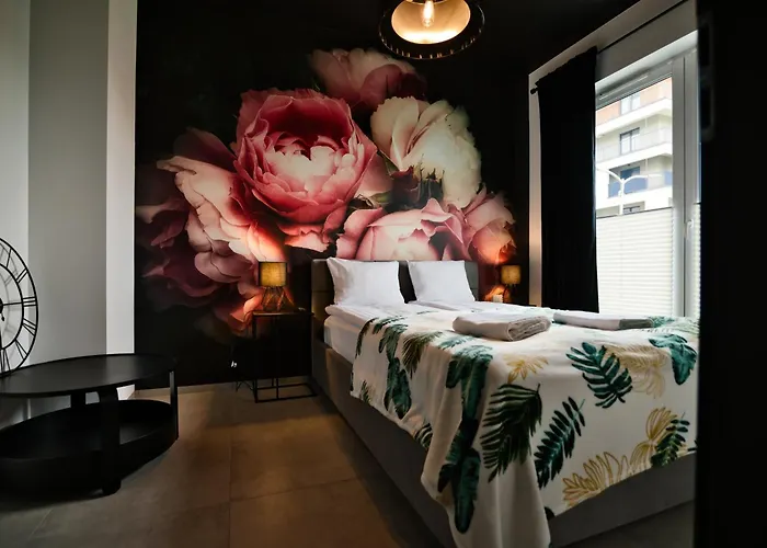 5 By Housine * Zator